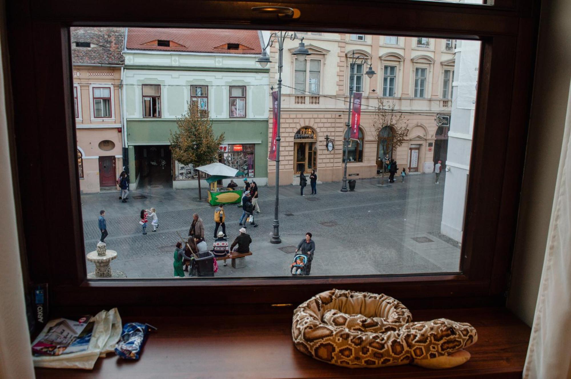 B13 Hostel Sibiu Exterior photo
